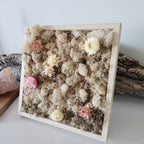 Nude Moss With Nude Flowers - Square - Moss Art