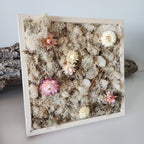 Nude Moss With Nude Flowers - Square - Moss Art