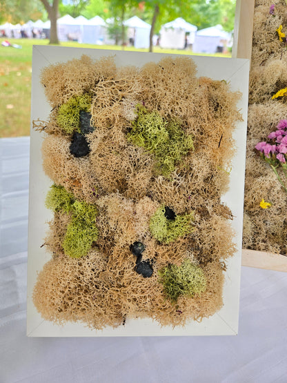 Nude Moss With Black Onyx - Moss Art