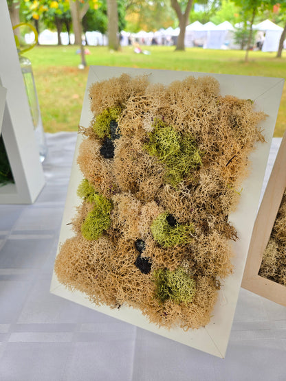 Nude Moss With Black Onyx - Moss Art