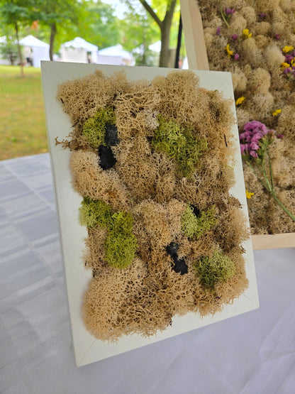 Nude Moss With Black Onyx - Moss Art