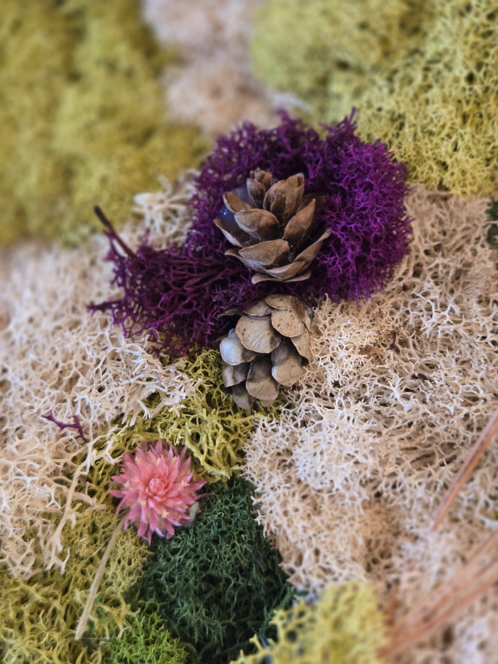 In Stillness - Moss Art