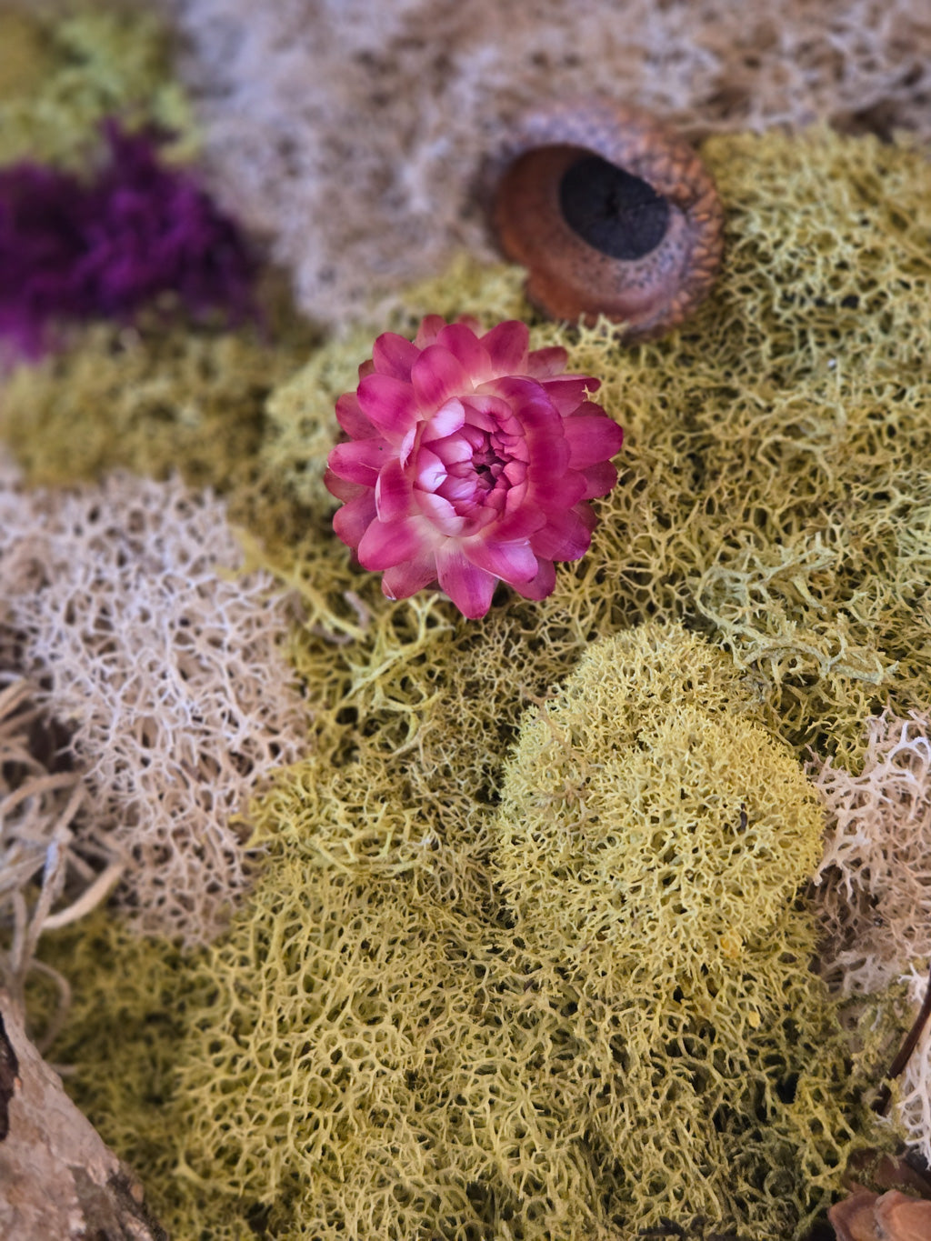 In Stillness - Moss Art