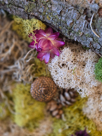 In Stillness - Moss Art