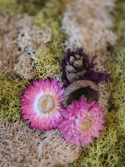 In Stillness - Moss Art