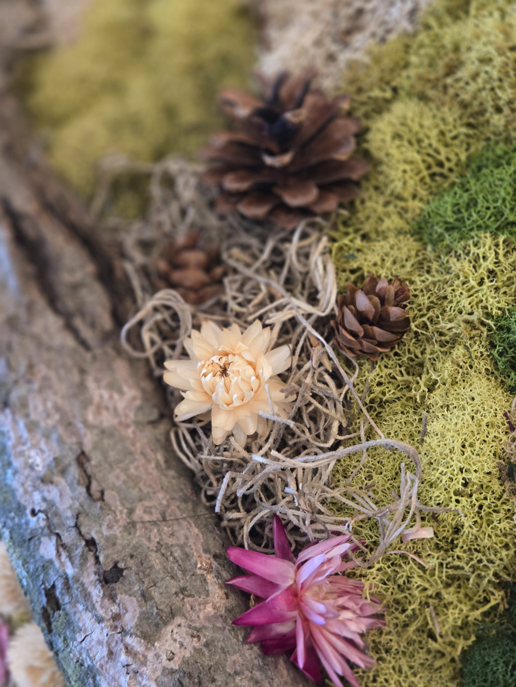 In Stillness - Moss Art