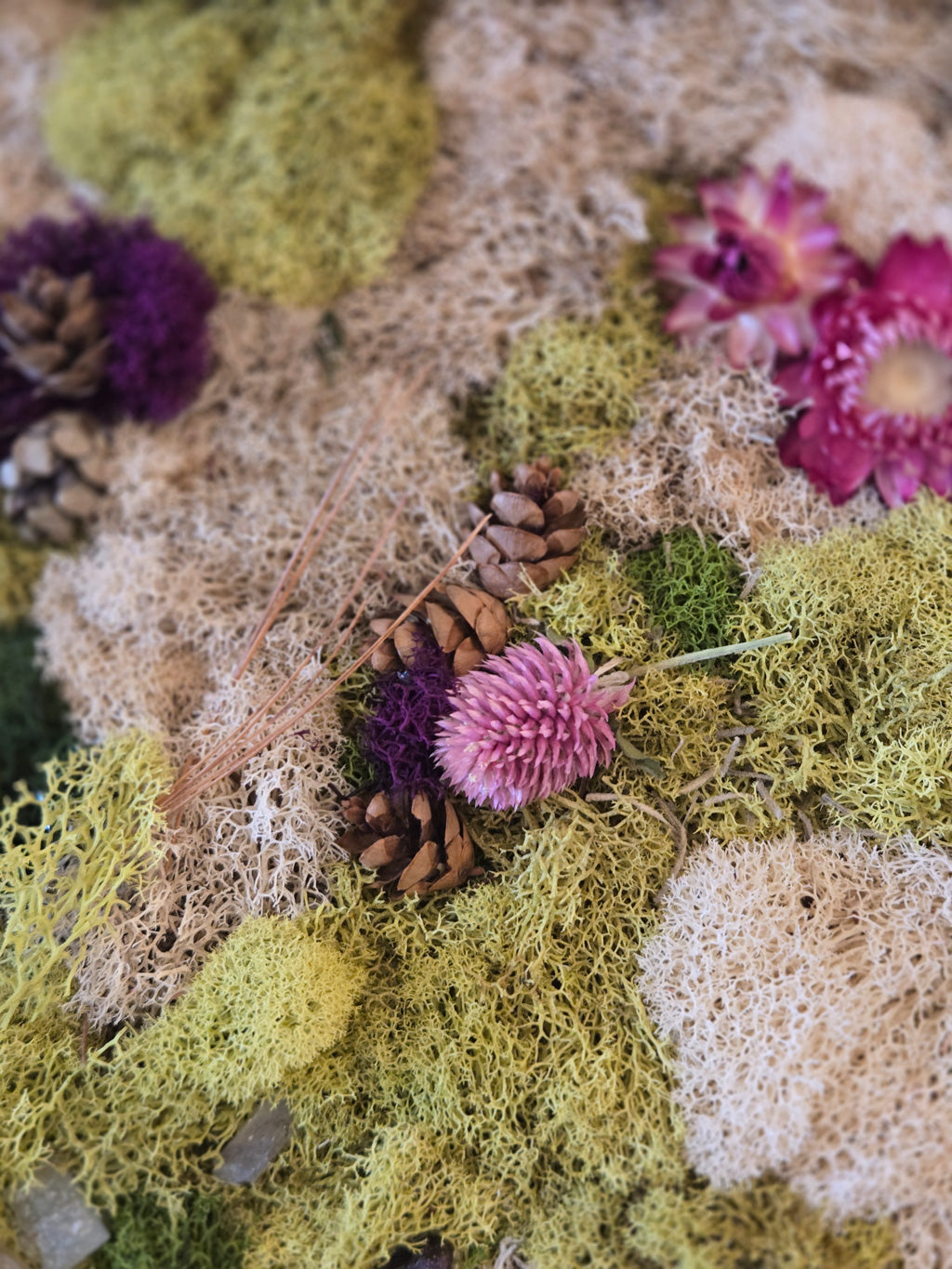 In Stillness - Moss Art