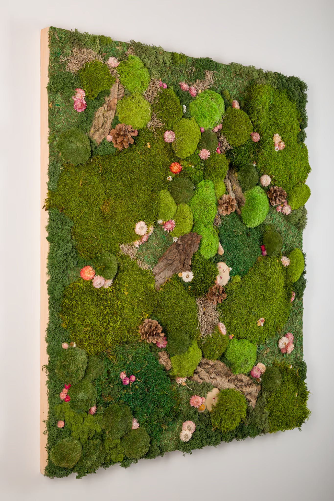 Where Fairies Sleep - Moss Art