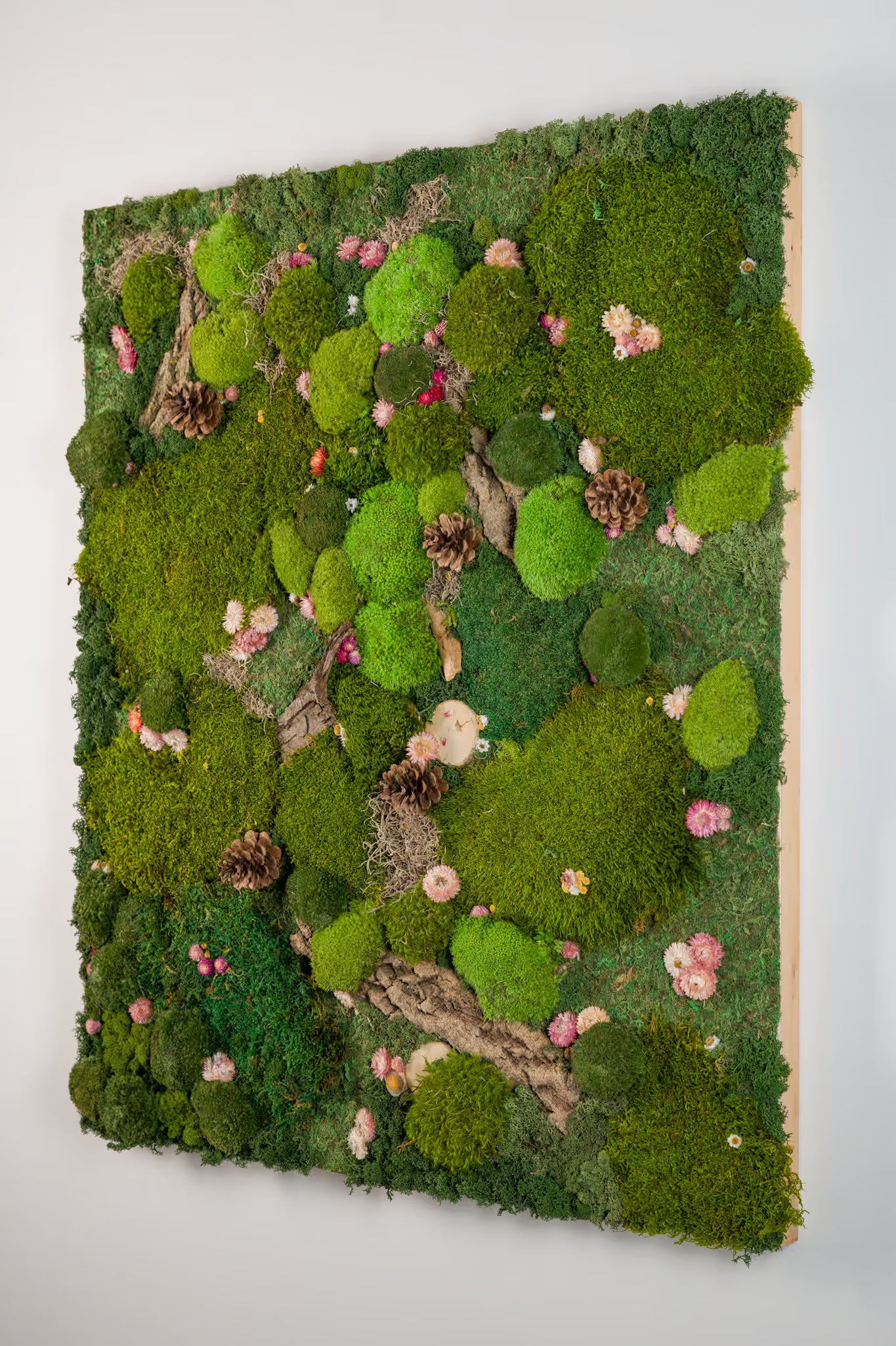 Where Fairies Sleep - Moss Art
