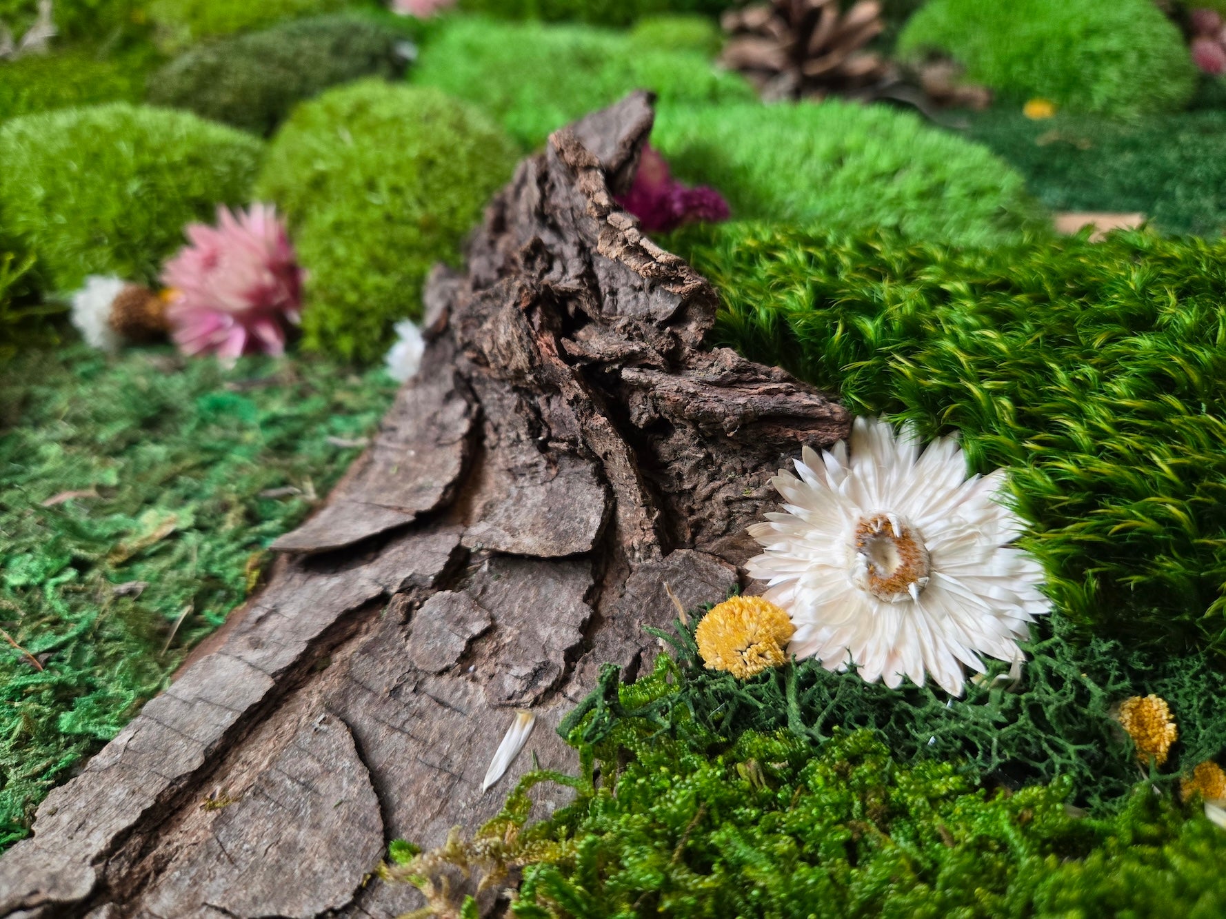 Close-up of a textured tree bark on a bed of green moss with small flowers.