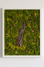 White Squirrel Way - Moss Art
