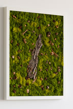 White Squirrel Way - Moss Art