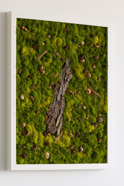 White Squirrel Way - Moss Art