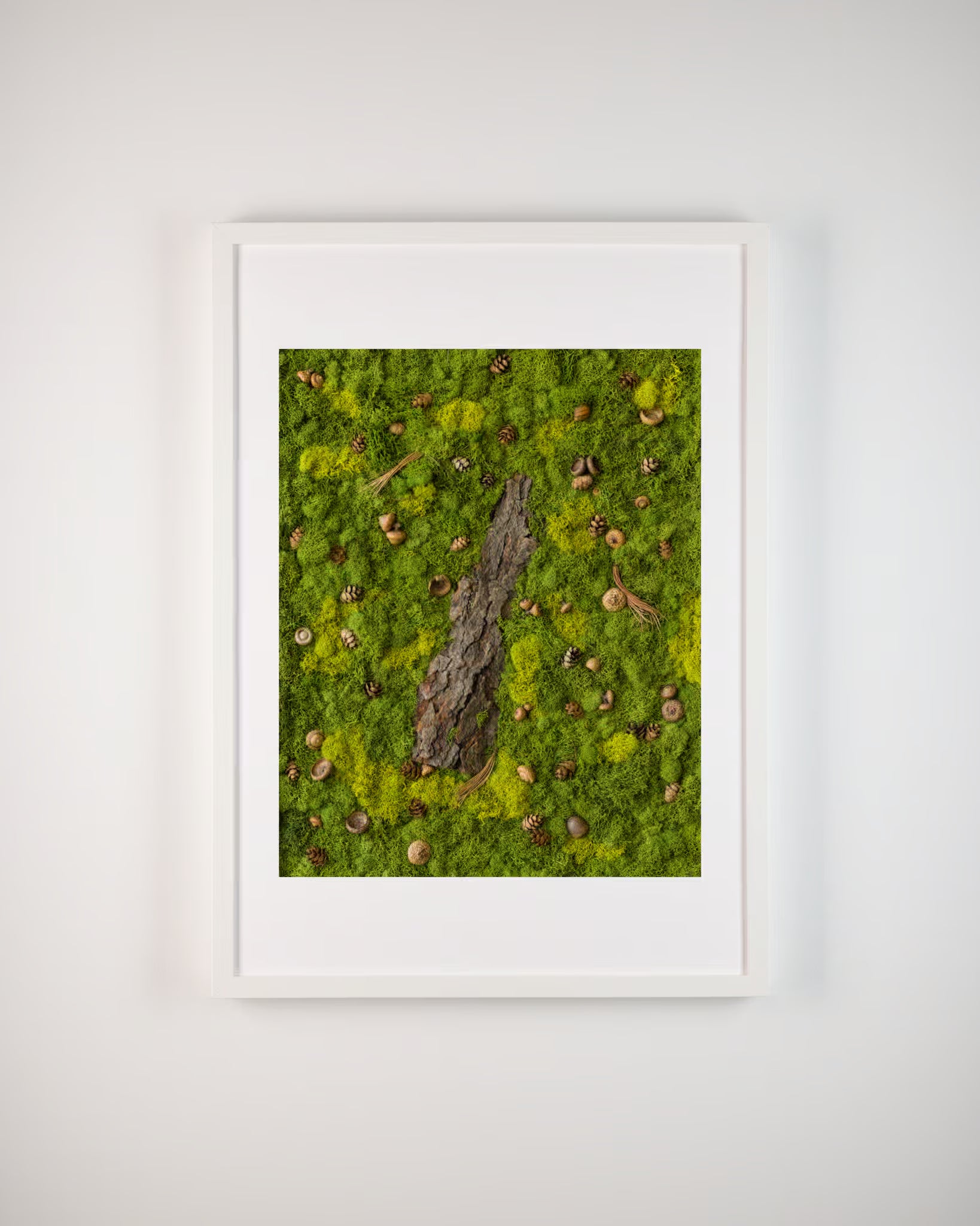 Green moss wall with wood bark, pinecones, and acorns fine art print in frame