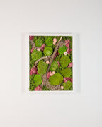 Wind In My Hair – Botanical Moss Wall Art | Pink Nature Decor