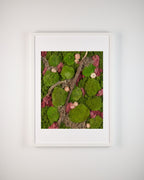 Framed artwork with green and pink moss wall with white flowers and a wooden branch fine art print