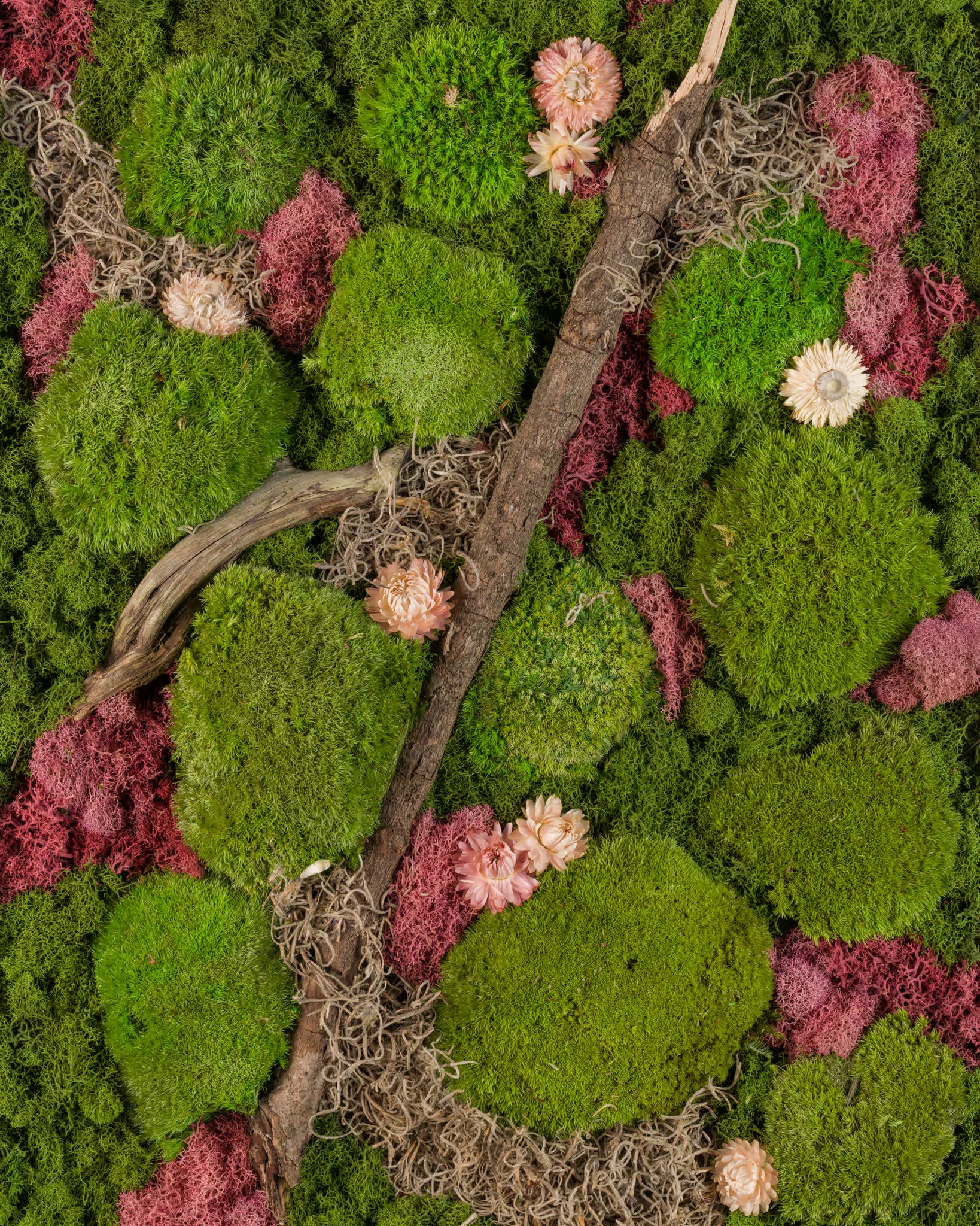 Moss wall with pink and white flowers and a wooden branch fine art print