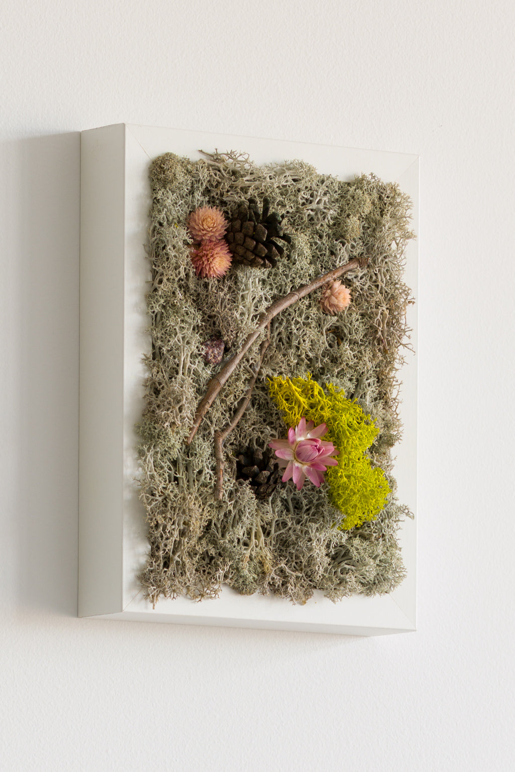 Winter To Spring - Moss Art