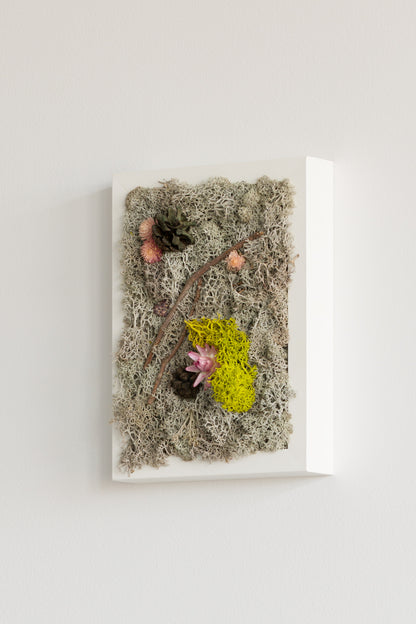 Winter To Spring - Moss Art