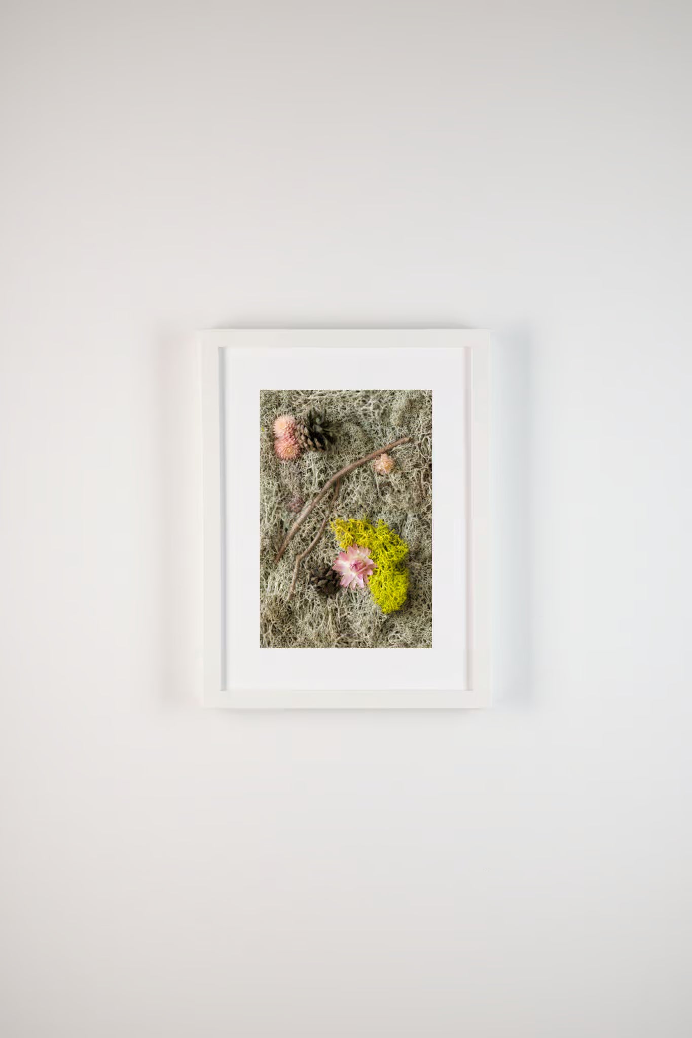 Pink flowers, pine cones, and wood on grey moss fine art print