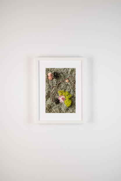 Winter To Spring - Fine Art Print