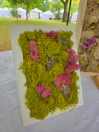 Pink on Green Moss - Moss Art