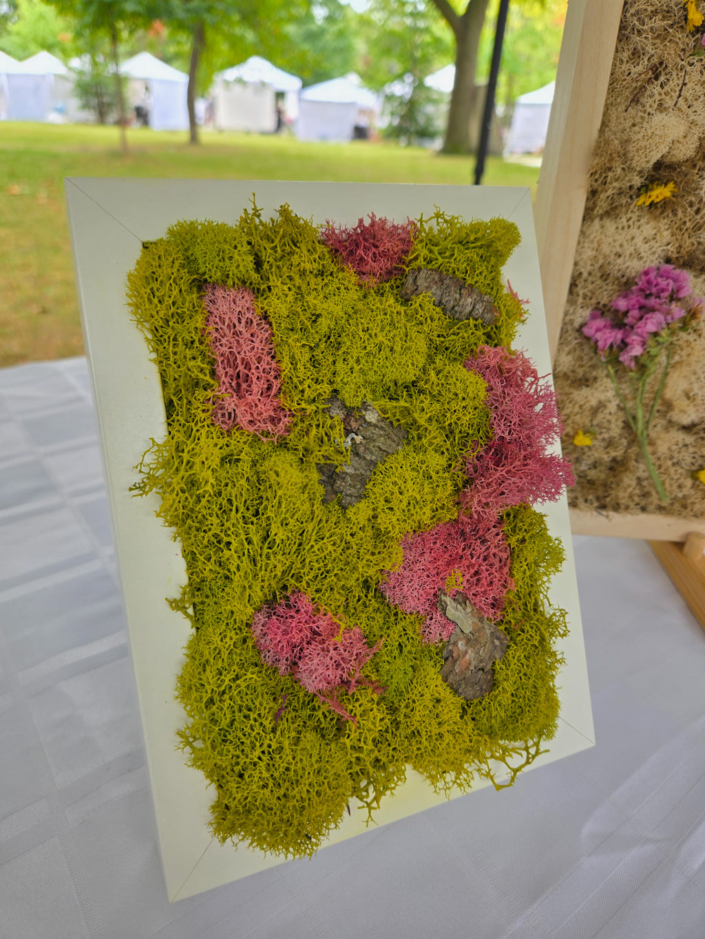 Pink on Green Moss - Moss Art