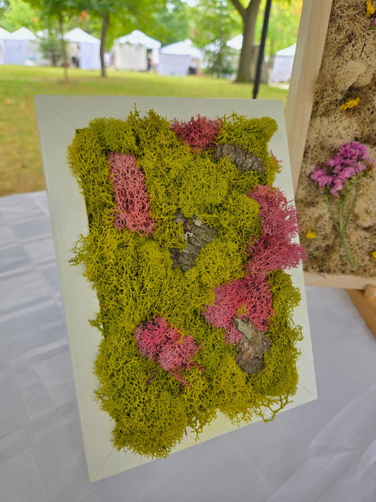Pink on Green Moss