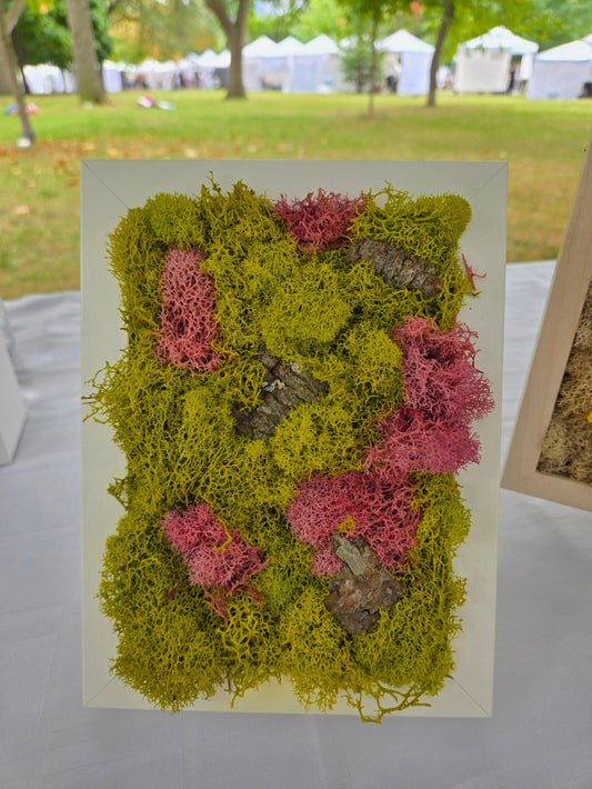 Pink on Green Moss