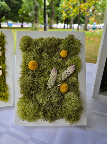 In the Wild XS - Moss Art